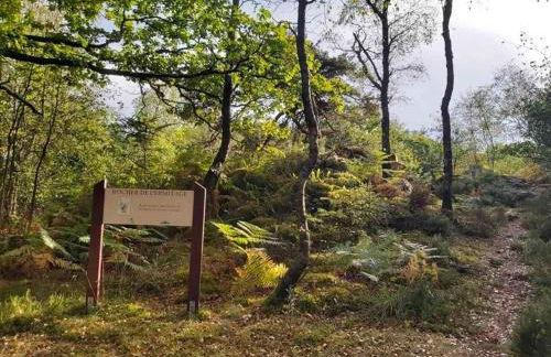 Le cottage de Maddie - charme, calme et authenticité - Foto 51