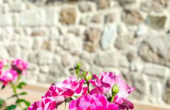 Villa Anerocurù by Chania city - Photo 60