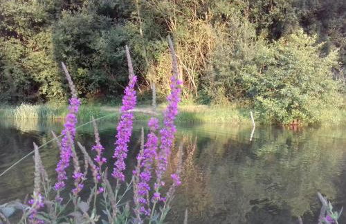 Maison authentique en Normandie - FR-1-497-160 - Foto 15