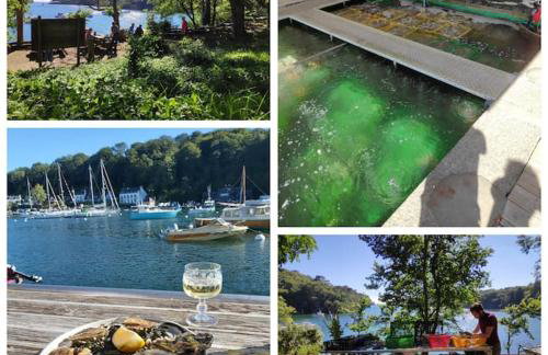 Chalet familial avec piscine-Finistère Sud - Foto 37