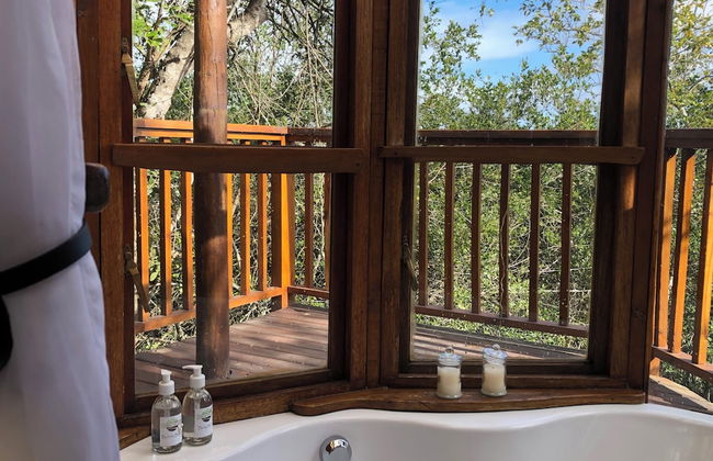 Teniqua Treetops - Foto 53