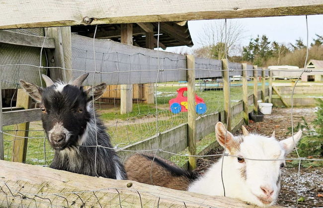 6 Person Holiday Home in Struer-by Traum - Foto 26