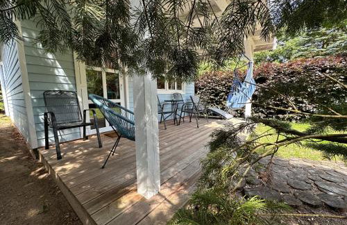 Kwiat Paproci - Foto 64