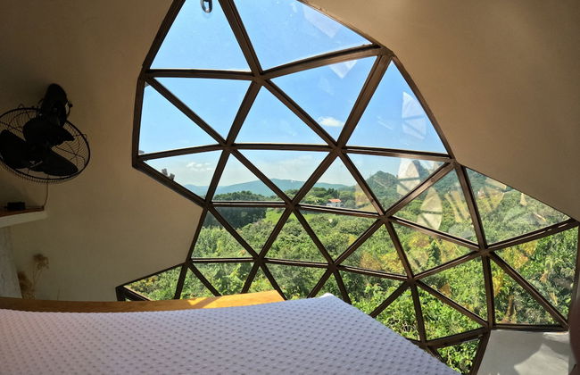 Bosque Geométrico - Foto 10