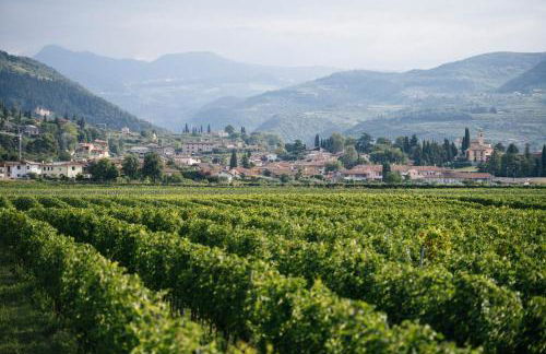 Dimora Buglioni Wine Relais - Foto 53