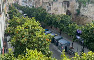 San Fernando 33 - Foto 23