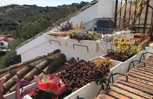 Studio Views Apartment, Cortijo Fruitful Hills - Photo 11