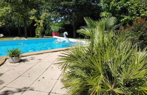 Agréable maison angevine - Foto 6