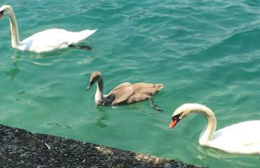 Monte Isoliana - petit paradis - Foto 23