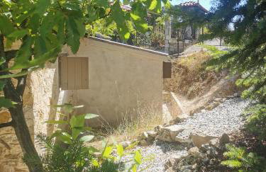 Dendrocopos Medius - Photo 25