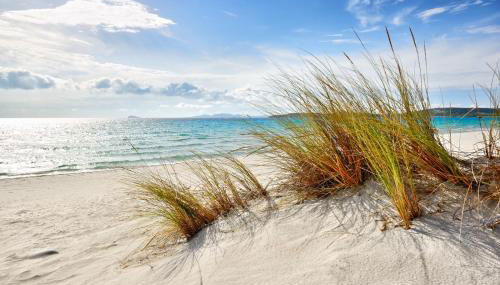 Rose e fiori - Foto 3