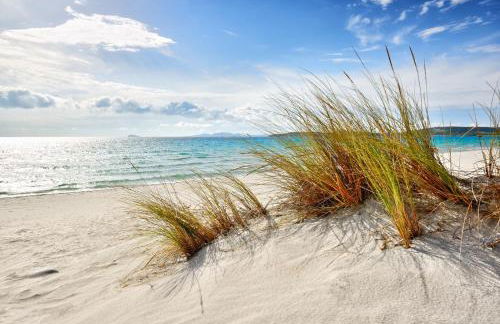 Rose e fiori - Foto 3