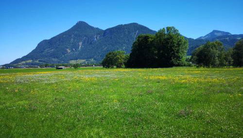 Ferienwohnungen beim Silbergersee - Foto 2