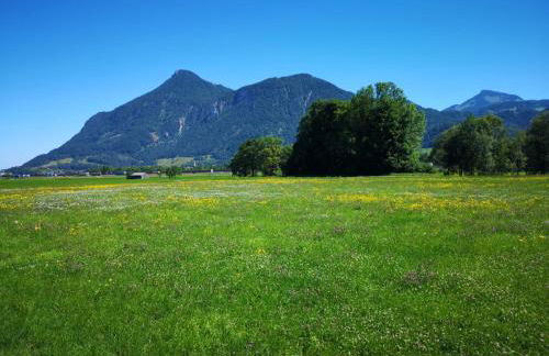 Ferienwohnungen beim Silbergersee - Foto 2