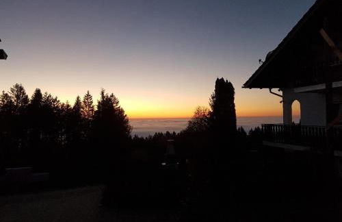 Ferienwohnung NaturZeit - Foto 21