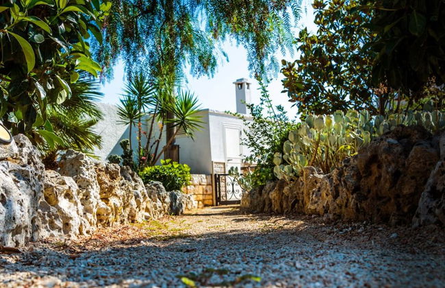 Trullo Cittadino - Foto 1