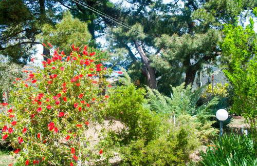 Agriturismo Fattoria di Grenne - Foto 20