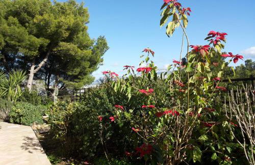 Brezza D'Estate - Foto 44