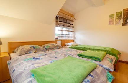 Apartman Suhi vrh - Foto 15