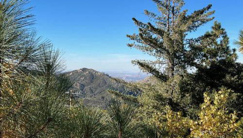 EV level 2, Pets Welcome at Sunset Ridge - Foto 3