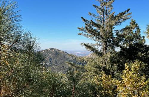 EV level 2, Pets Welcome at Sunset Ridge - Foto 3