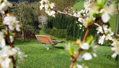 Bühlbauernhof - Foto 2