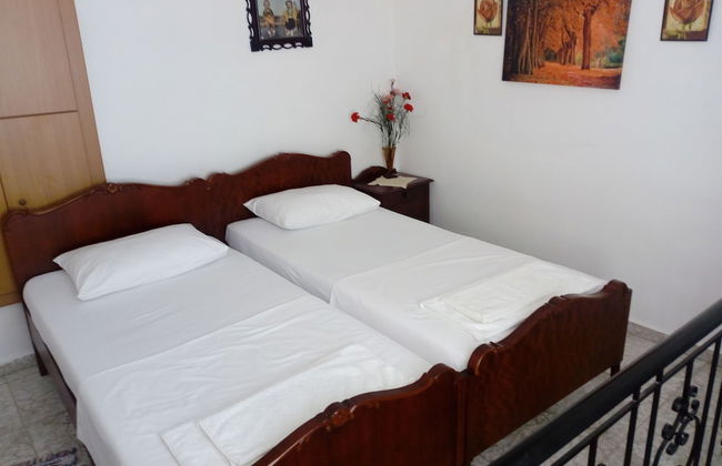 Garden Of Olive Trees - Photo 3