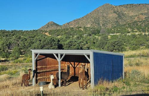 Mountain Farm Stay, Alpacas and Views, Royal Gorge 15min - Foto 57