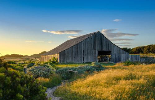 Wild Meadow - Foto 12