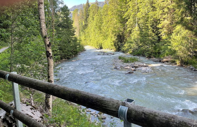 Alpenchalet Weidhaus - Foto 61