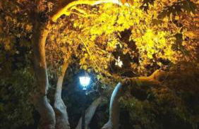 Aegean Serenity - Sea View Retreat - Foto 44