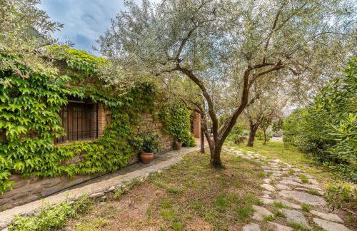 La Terrera - Photo 16