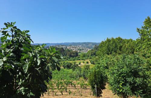 Quinta de Carcavelos Agroturismo e Enoturismo - Foto 17