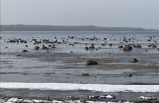 Strandsegård Ferielejligheder - Foto 52