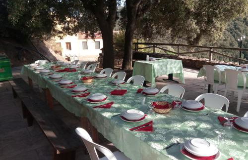 Sa Perda Lada - Foto 41