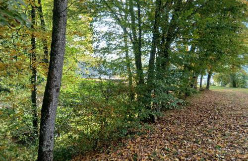 Gite des étangs de Saint Bale - Foto 65