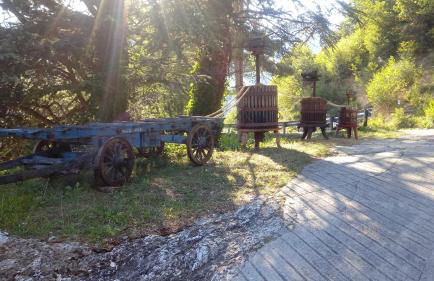 LaGaressina suite Anna - Jacuzzi & Spa - Foto 69