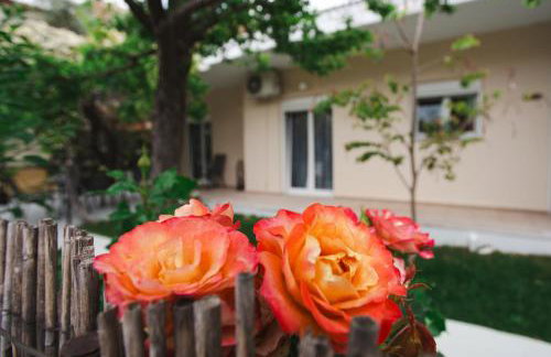 LUCY APARTAMENT - Foto 1