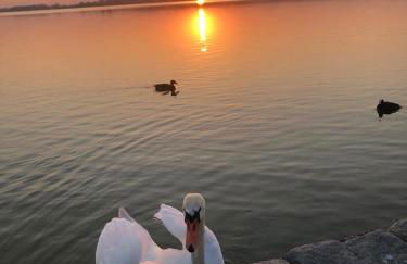 Appartement Seebadallee mit Wallbox für e-Autos - Foto 32