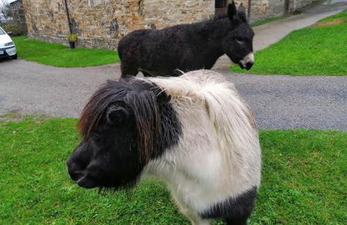 Apartamentos rurales Casa Do Cabo - Foto 74