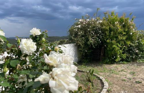 Neto Pinto - Casa de férias / fins de semana. - Photo 43