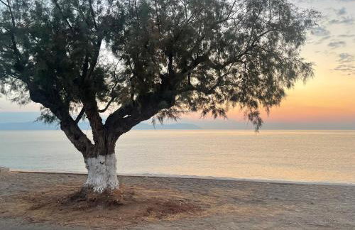 Sea Urchin Apartment Neos Kosmos - Foto 23