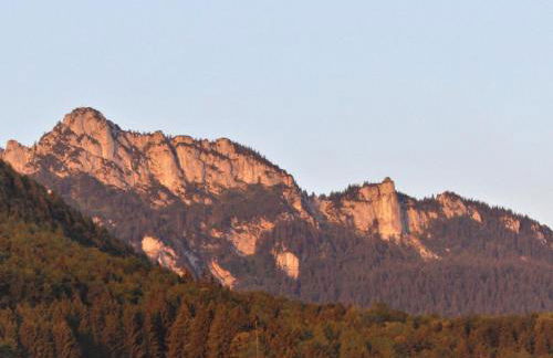 Ferienwohnung Bei Mutti - Foto 4