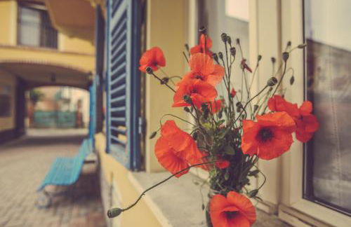 Agriturismo I Surì Asti - Foto 19