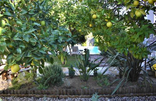 Villa Komfort - Foto 38