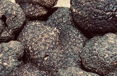 La Truffe Rose - Foto 48