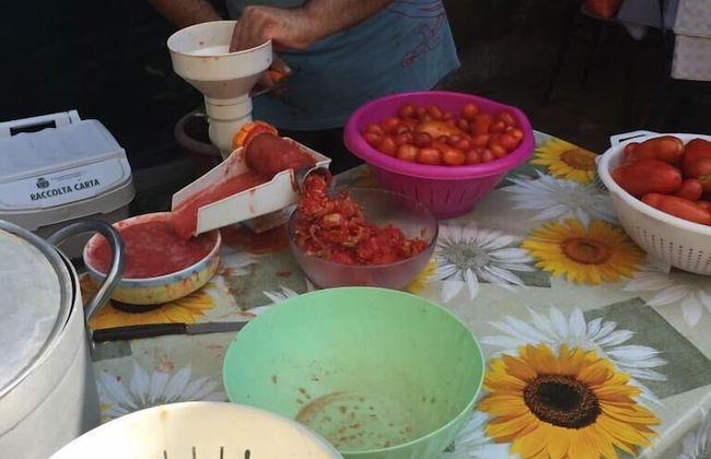 Agriturismo Casale Loreto - Foto 10