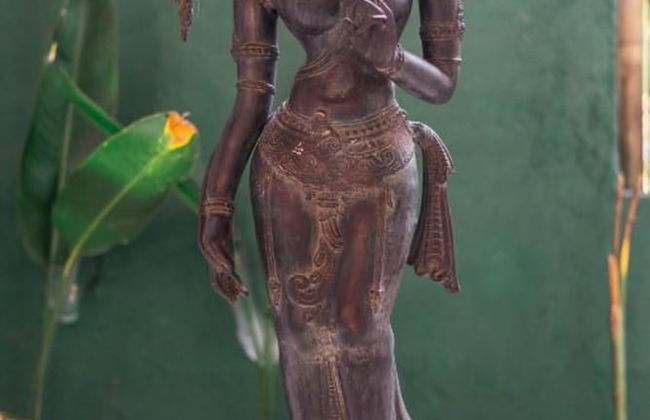 Luxury Villa Rose and Villa Rosebud - Foto 28