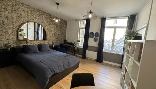 Studio INDIGO Plein Centre - Foto 2