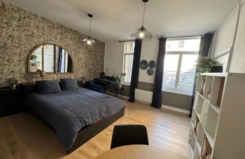 Studio INDIGO Plein Centre - Foto 2